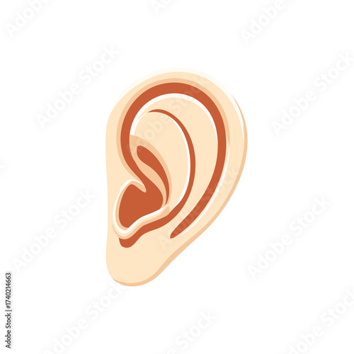 Anatomical Human Ear Vector Illustration in a Simple Cartoon Style