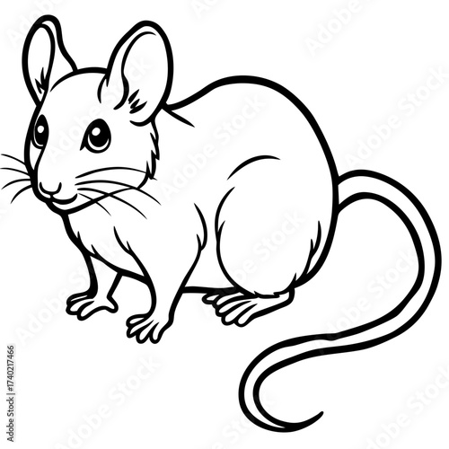 Minimalist Dormouse Line Art Vector Illustration on White Background