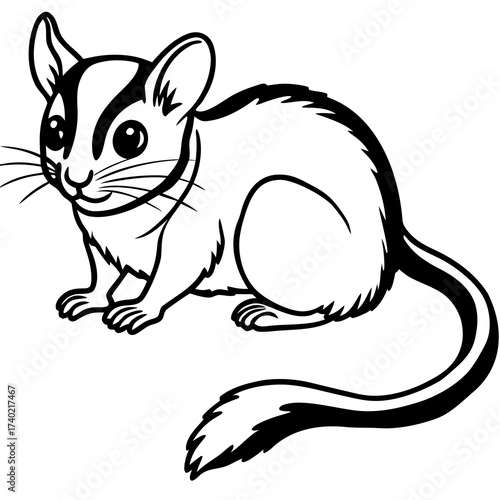 Minimalist Dormouse Line Art Vector Illustration on White Background