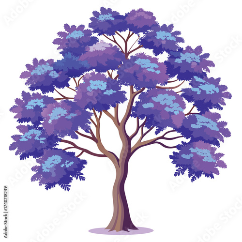 Jacaranda tree in full, spectacular bloom, covered entirely in clusters of soft purple, trumpet-shaped flowers, a tropical icon.
