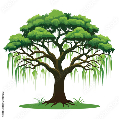 Massive live oak tree with characteristic horizontal, spreading branches, dense evergreen foliage, and a powerful, venerable form.