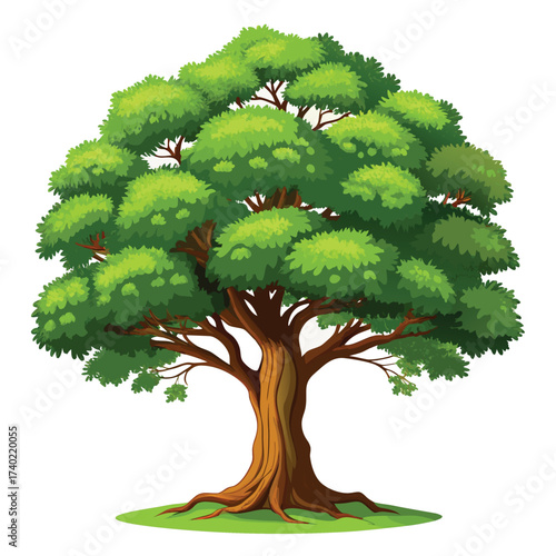 Majestic mature oak tree with full summer foliage, symbolizing strength, endurance, and traditional beauty, isolated for design.