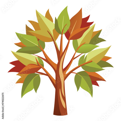 Elegant paperbark maple with its highly distinctive, ornamental peeling cinnamon-brown bark and attractive three-lobed leaves, isolated vector.