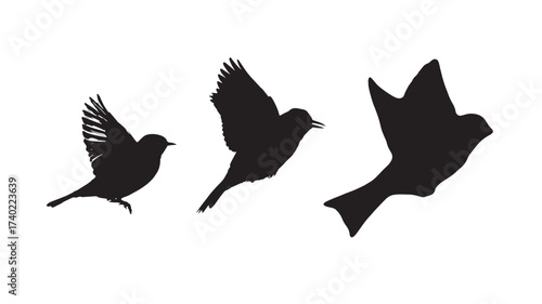 Set of flying bird silhouettes vector illustration of different flight poses design element for freedom and nature concepts