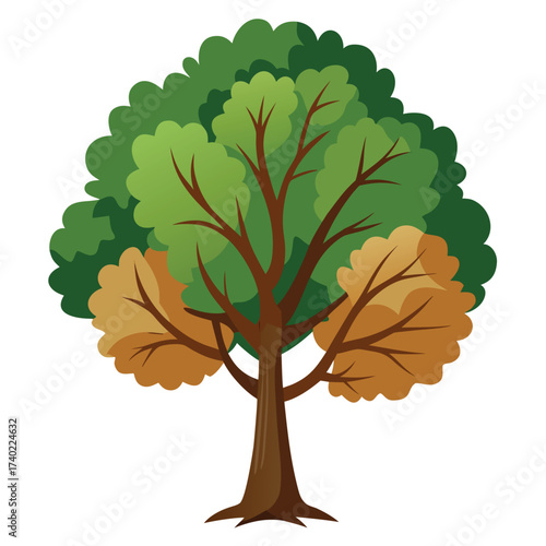 Sandpaper oak, a small, Southern evergreen species distinguished by its rough, sandpapery textured leaves and rounded form.