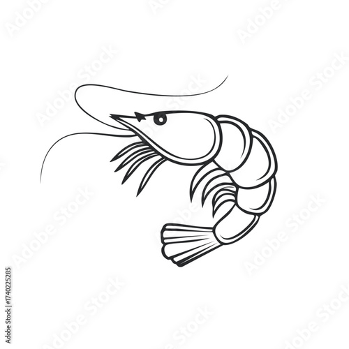 Line Drawing Illustration of a Shrimp with Detailed Anatomy Showing the Antennae and Tail Segments