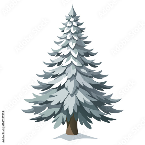 Tall European silver fir with dark green needles that have two silvery bands underneath, giving the canopy a subtle silver sheen.