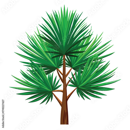 Slash pine with long, glossy green needles in clusters of two or three, a fast-growing species native to the southern coastal plains.