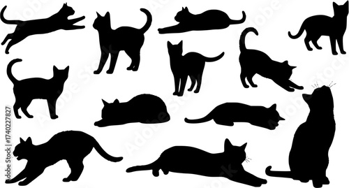 Shadows Cats in different actions such as playing, eating, and sleeping on a white background