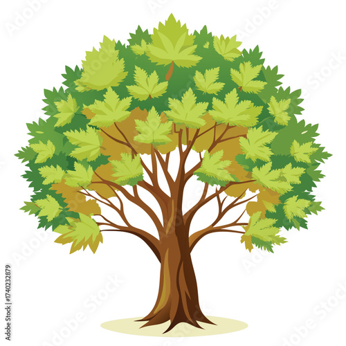 Iconic American sycamore tree with distinctive patchy white, tan, and brown exfoliating bark and broad, maple-like leaves, a riparian giant.