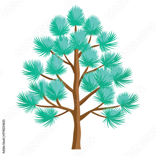 Majestic Eastern white pine with soft blue-green needles clustered in fives, a towering and picturesque conifer species, isolated for design.