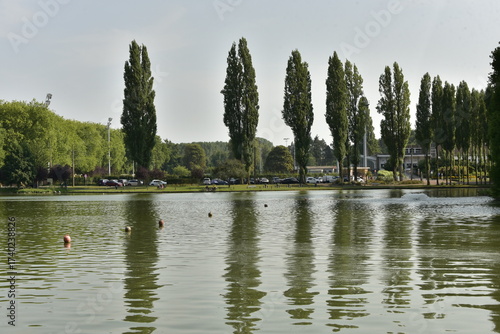 Fotografie Reflet des peupliers dans l'étang du parc de la Dodaine à Nivelles (Brabant Wall