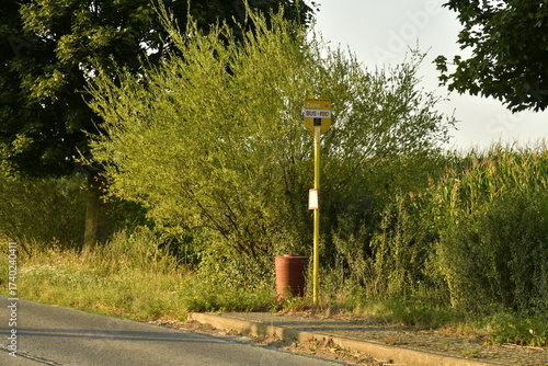 Arrêt de bus TEC en plaine végétation en fin de journée à Écaussinnes d'Enghien (Soignies)