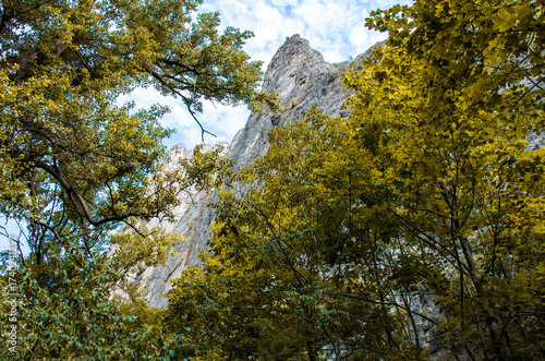 Majestic Rock Cliff Towering Above Lush Green and Yellow Forest Canopy, Low Angle View.