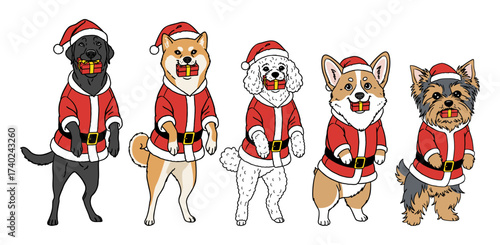 dogs wearing santa claus costumes with gift boxes in the mouth, retriever, shiba inu, poodle, corgi, Yorkshire terrier, Christmas set of cute pets