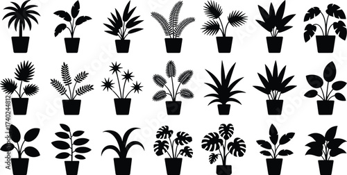 Potted plant silhouettes, botanical vector, indoor plants, houseplant illustration, decorative greenery, black foliage, garden element, nature graphic, plant collection, floral design