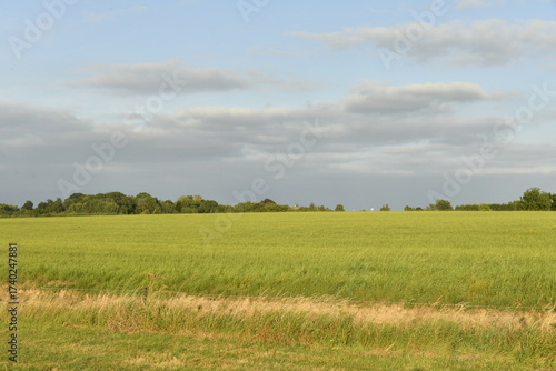 Prairies et champs sous la lumière du coucher de soleil à Écaussinnes d'Enghien (Soignie)