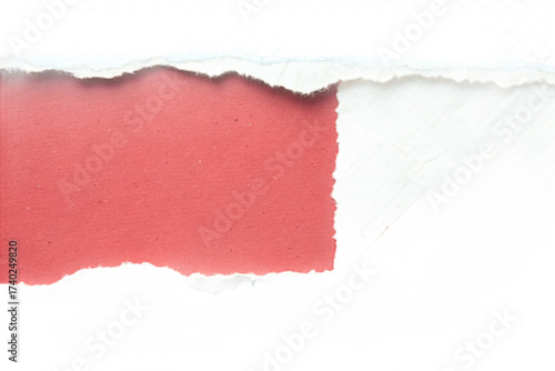 torn paper background
