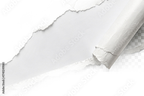 torn paper background