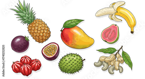 Vibrant Tropical Fruit Illustration: A Feast for the Eyes and Tastebuds