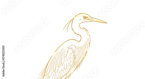 Golden Heron Illustration with Detailed Feathering and Elegant Lines