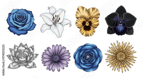Celestial Floral Collection: Eight Different Flowers, Bold Colors and Starry Details
