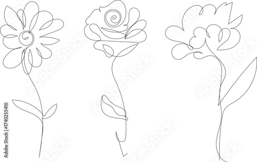 Three delicate line art floral illustrations of blooming flowers on white background