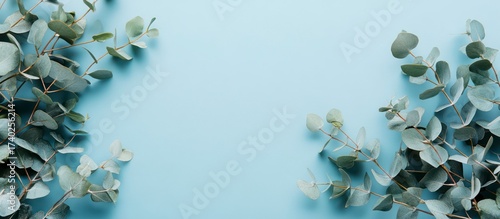 Abstract blue flower background with water drop shapes and clean modern design on transparent background