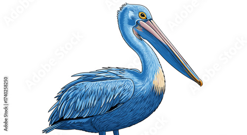Blue pelican illustration with intricate details on a clean white backdrop