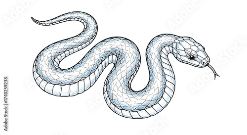 Iridescent Snake Illustration with Tongue Isolated on a White Background