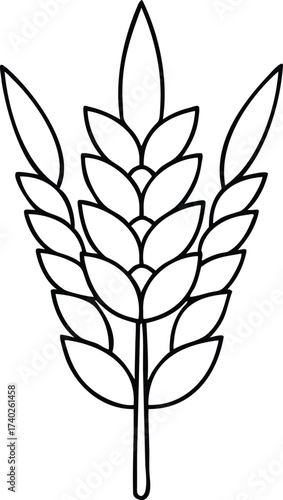 Vector art of outline of a wheat stalk with multiple leaves