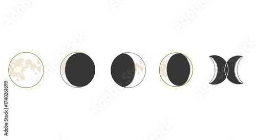 Elegant lunar cycle phases illustration on a clean white background.