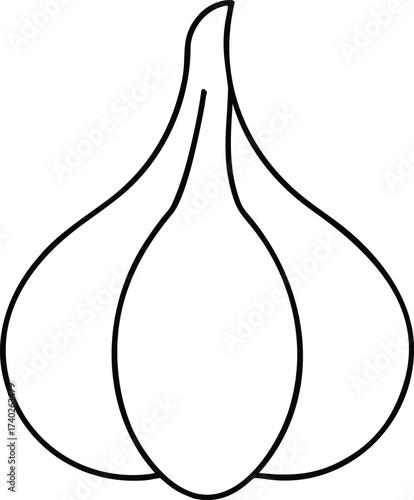 Vector art of a simple line drawing of a garlic bulb with three distinct cloves