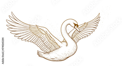 Graceful Swan with Open Wings, Artistic Illustration in Gold and White