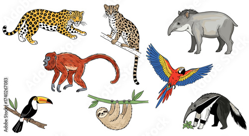South American Fauna: Vibrant Illustration of Diverse Wildlife Species