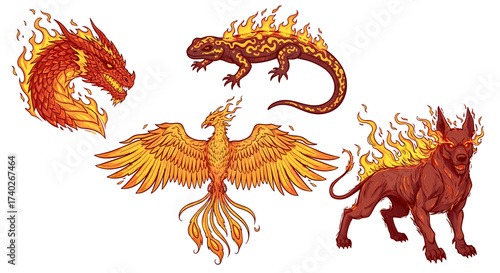 Mythical Fire Beasts: Dragon, Phoenix, Salamander and Hellhound Illustration