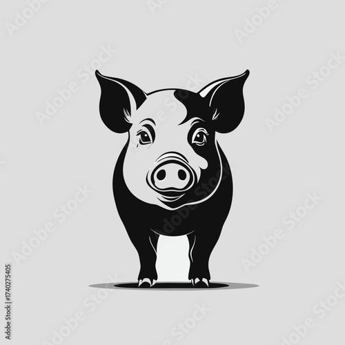 cartoon pig 