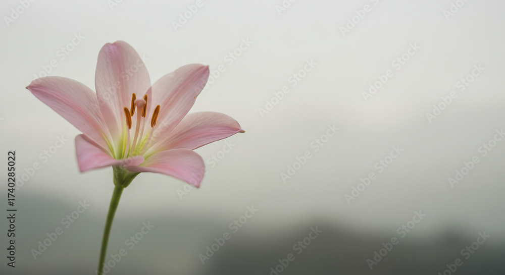 Fototapeta premium Blue pie slice with whipped cream on top in minimalist style 