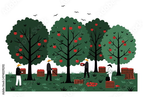 Apple Orchard Harvest - Vector Illustration