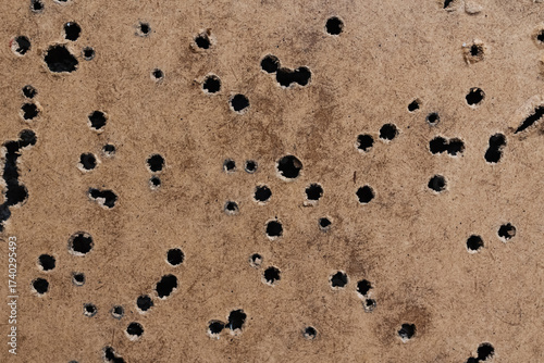 Abstract background or texture of a fiberboard surface completely riddled with multiple bullet holes from gunfire or target practice.