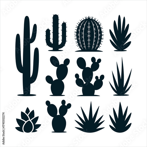 Collection of diverse black silhouette cactus and succulent plants on a white background