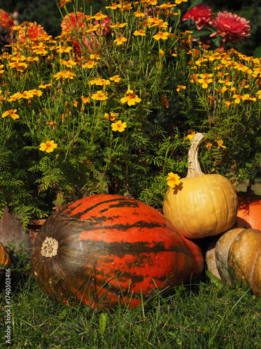 Vertical Autumn Pumpkins and Flowers — Colorful Fall Decoration and Seasonal Harvest Display