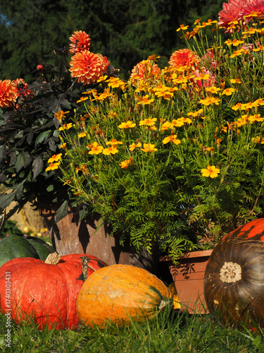 Vertical Autumn Flowers and Pumpkins — Vibrant Fall Colors and Seasonal Harvest Decoration