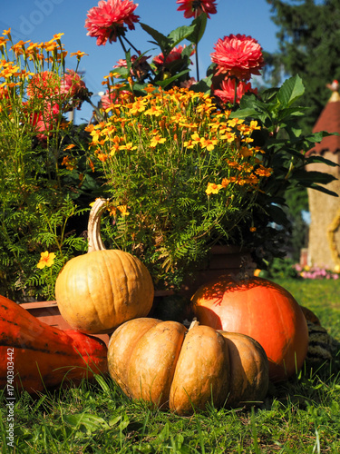Vertical Layered Autumn Composition — Pumpkins and Colorful Flowers in Three Tiers