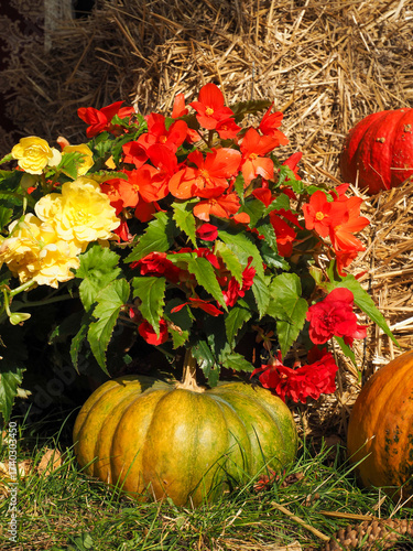 Vertical Autumn Pumpkins in Front of Hay Bale with Flowers — Rustic Fall Decoration