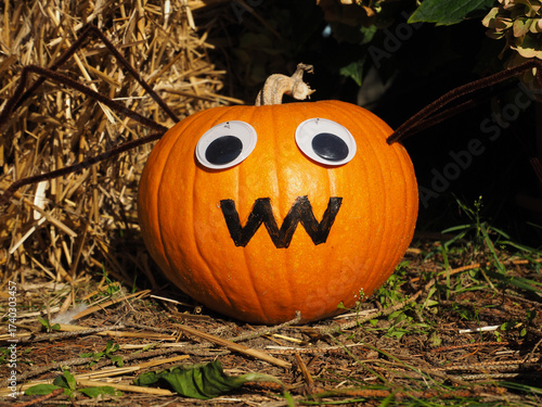 Smiling Pumpkin with Eyes in Front of Hay Bale — Fun Vertical Autumn Decoration