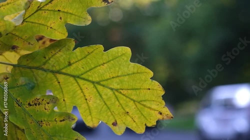 Cars are driving along an autumn road. A busy highway in autumn. 