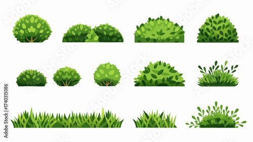 Cartoon shrub bush set. Garden green decoration bushes, illustrated hedge shrubs plants isolated on white background