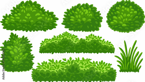 Cartoon shrub bush set. Garden green decoration bushes, illustrated hedge shrubs plants isolated on white background