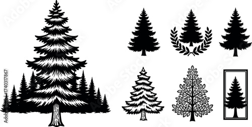 Black and white pine tree silhouettes, forest landscape elements, evergreen nature icons, minimal tree design set for logo and decoration